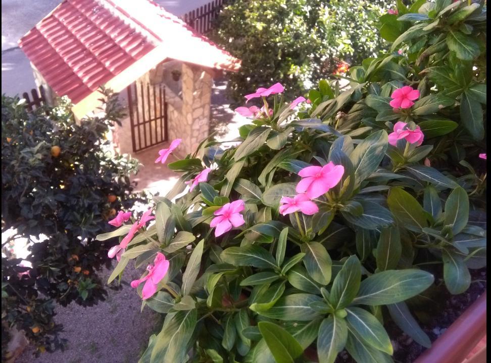 Casa Belvedere Agrigento Dış mekan fotoğraf